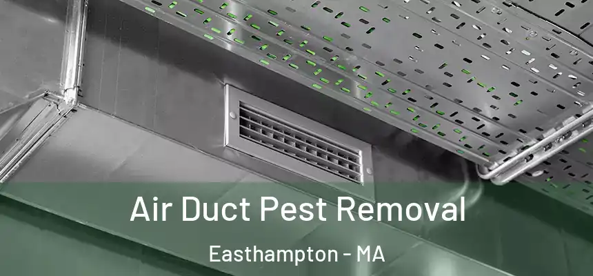 Air Duct Pest Removal Easthampton - MA