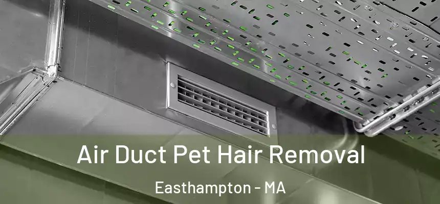  Air Duct Pet Hair Removal Easthampton - MA