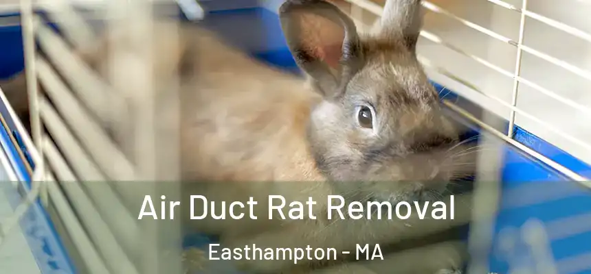 Air Duct Rat Removal Easthampton - MA