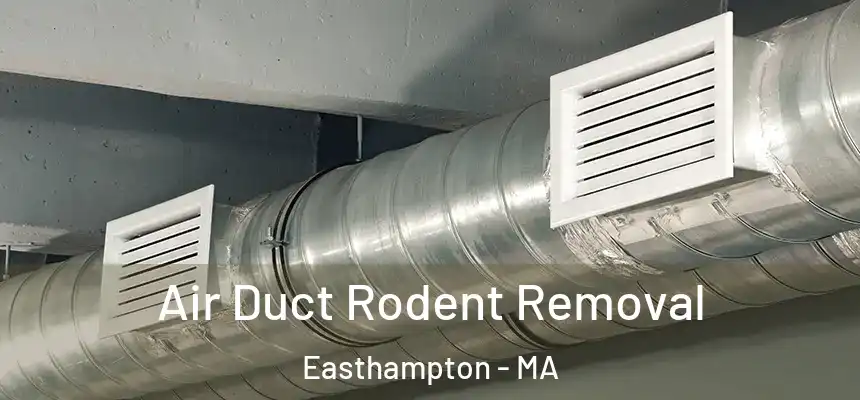 Air Duct Rodent Removal Easthampton - MA