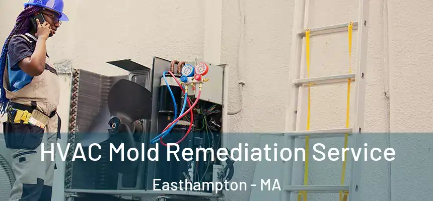HVAC Mold Remediation Service Easthampton - MA
