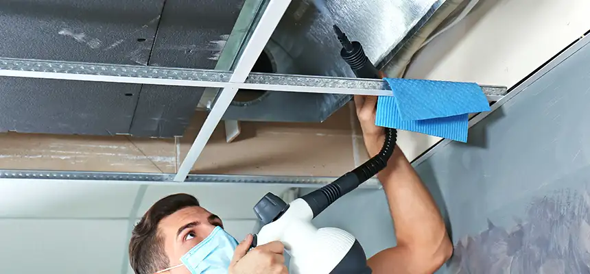 Our Air Duct Rodent Removal Services in Easthampton, MA
