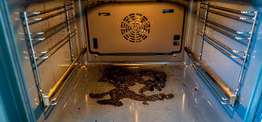 Our Dryer Vent Mold Cleaning Services in Easthampton, MA