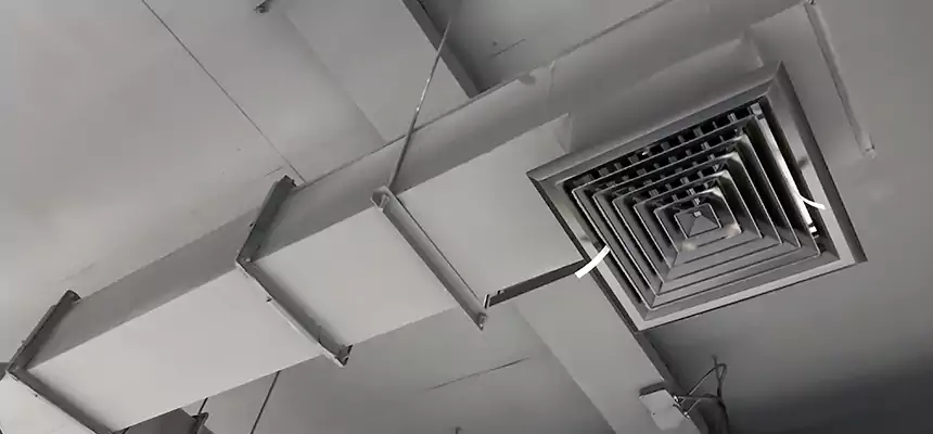 Our Rodent Droppings In Vents Services in Easthampton, MA