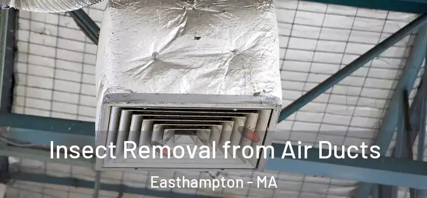 Insect Removal from Air Ducts Easthampton - MA