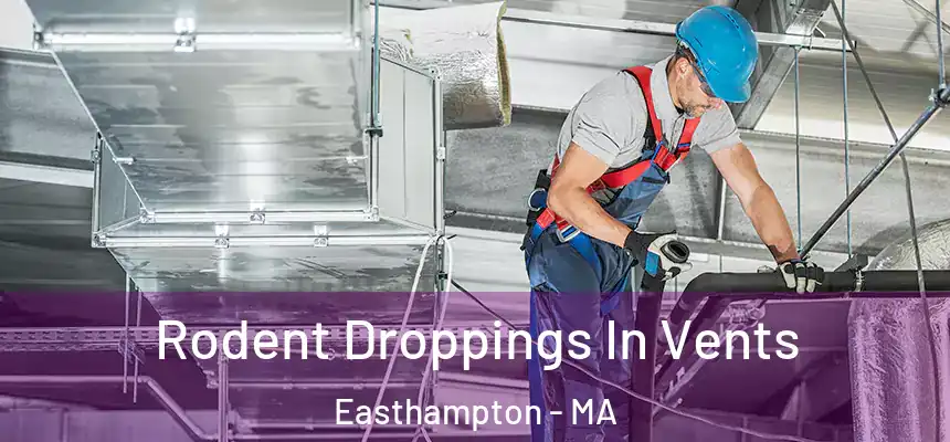  Rodent Droppings In Vents Easthampton - MA