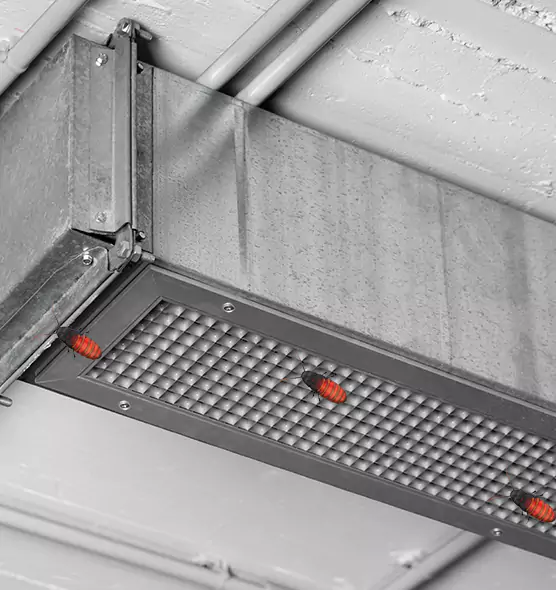About Air Duct Cockroach Removal in Easthampton, MA