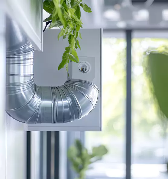 Professional Eco-Safe Dryer Vent Cleaning in Easthampton, MA