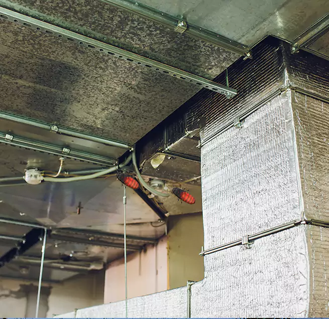 Why Homeowners & Businesses Trust Us in Easthampton, MA?