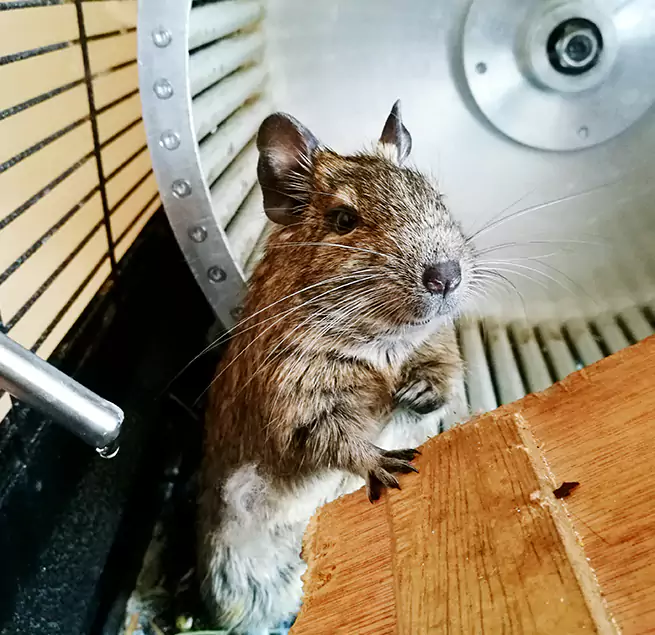 Why Homeowners & Businesses Trust Us Easthampton, MA?