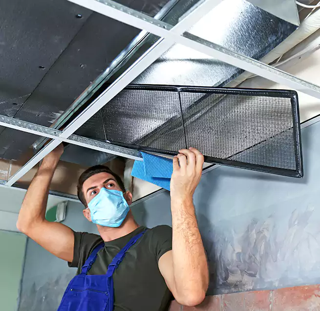 Why Homeowners Businesses Trust Us in Easthampton, MA