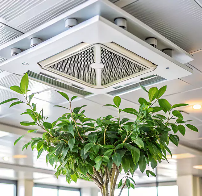 Why Homeowners & Businesses Trust Us in Easthampton, MA